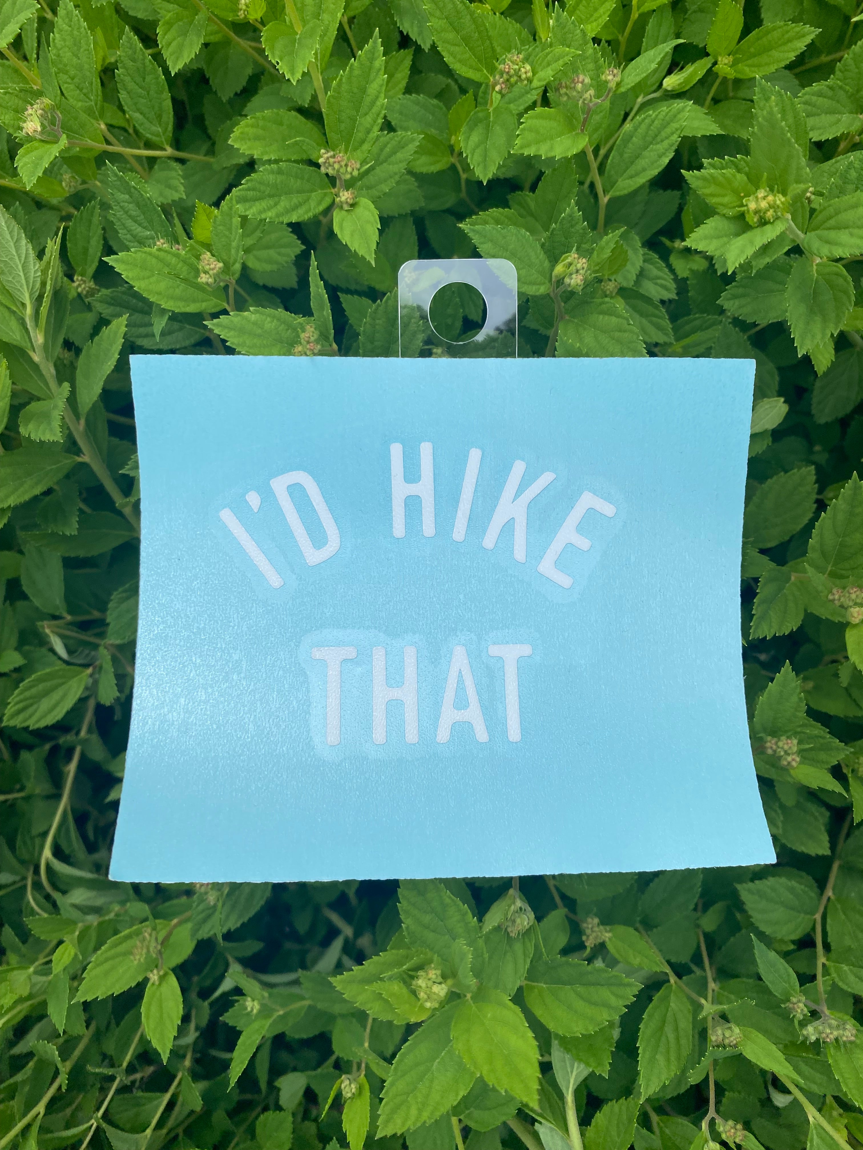 I'd Hike That Car Decal