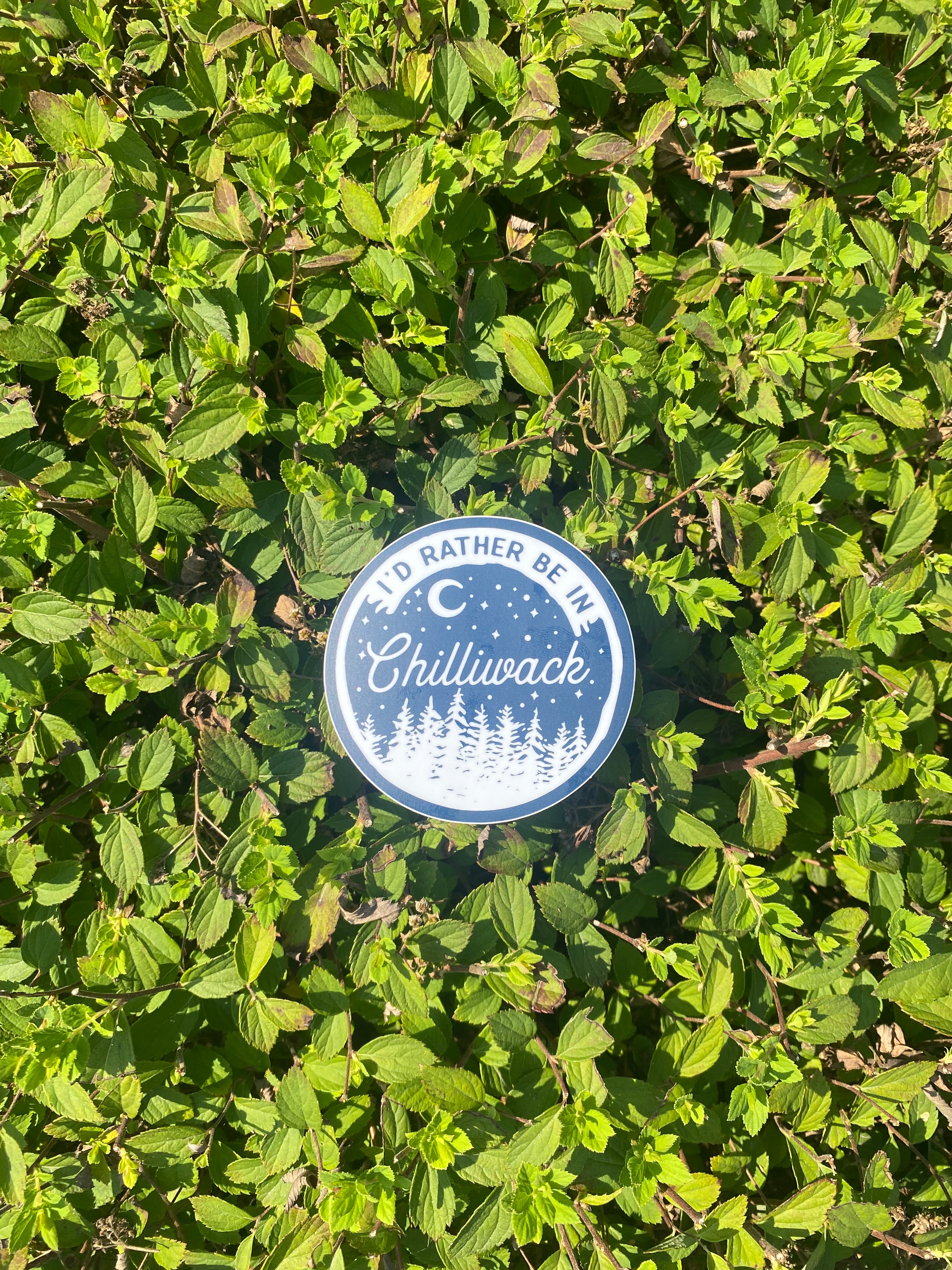 I'd Rather Be In Chilliwack