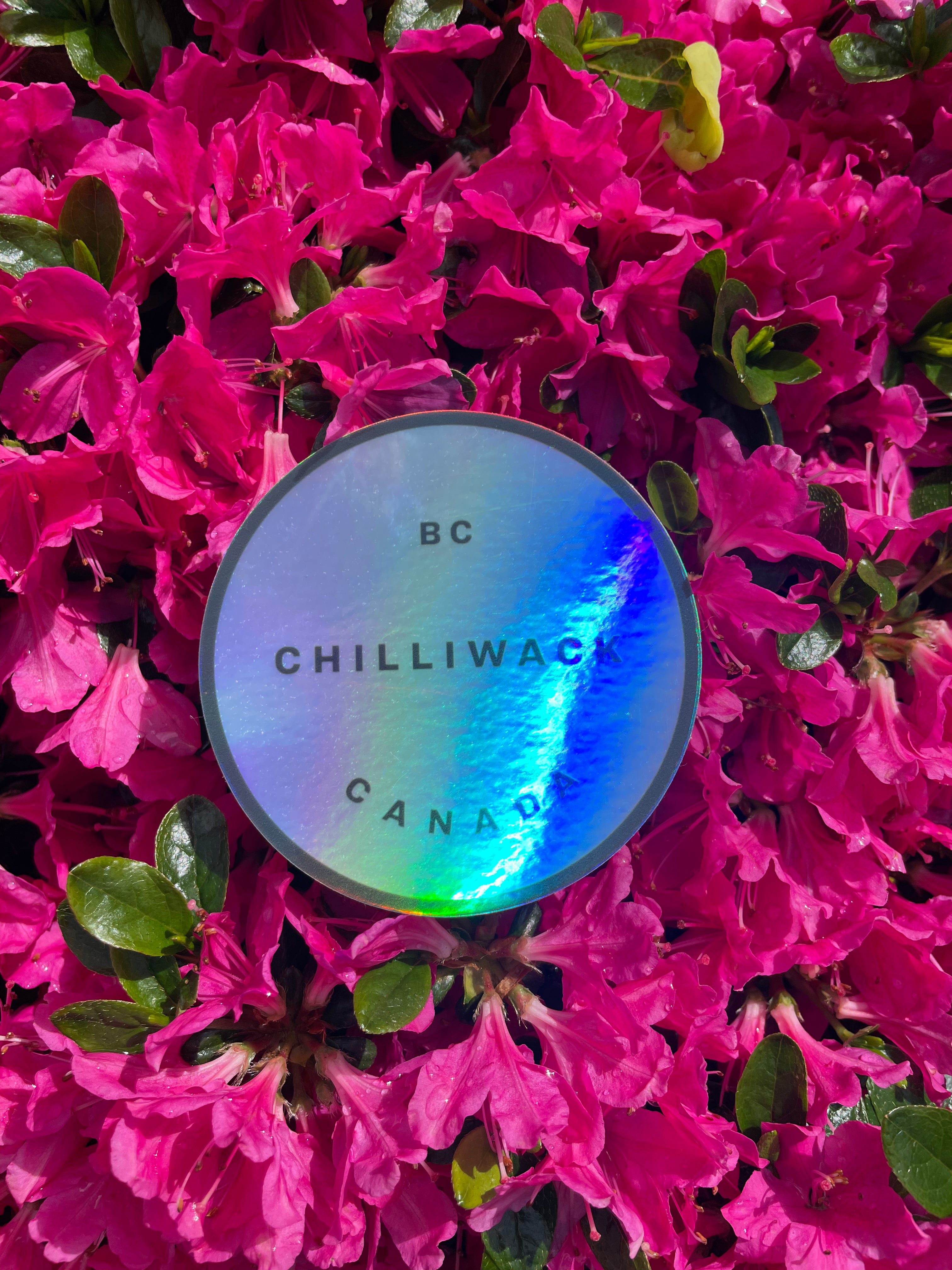 Chilliwack Holographic Sticker