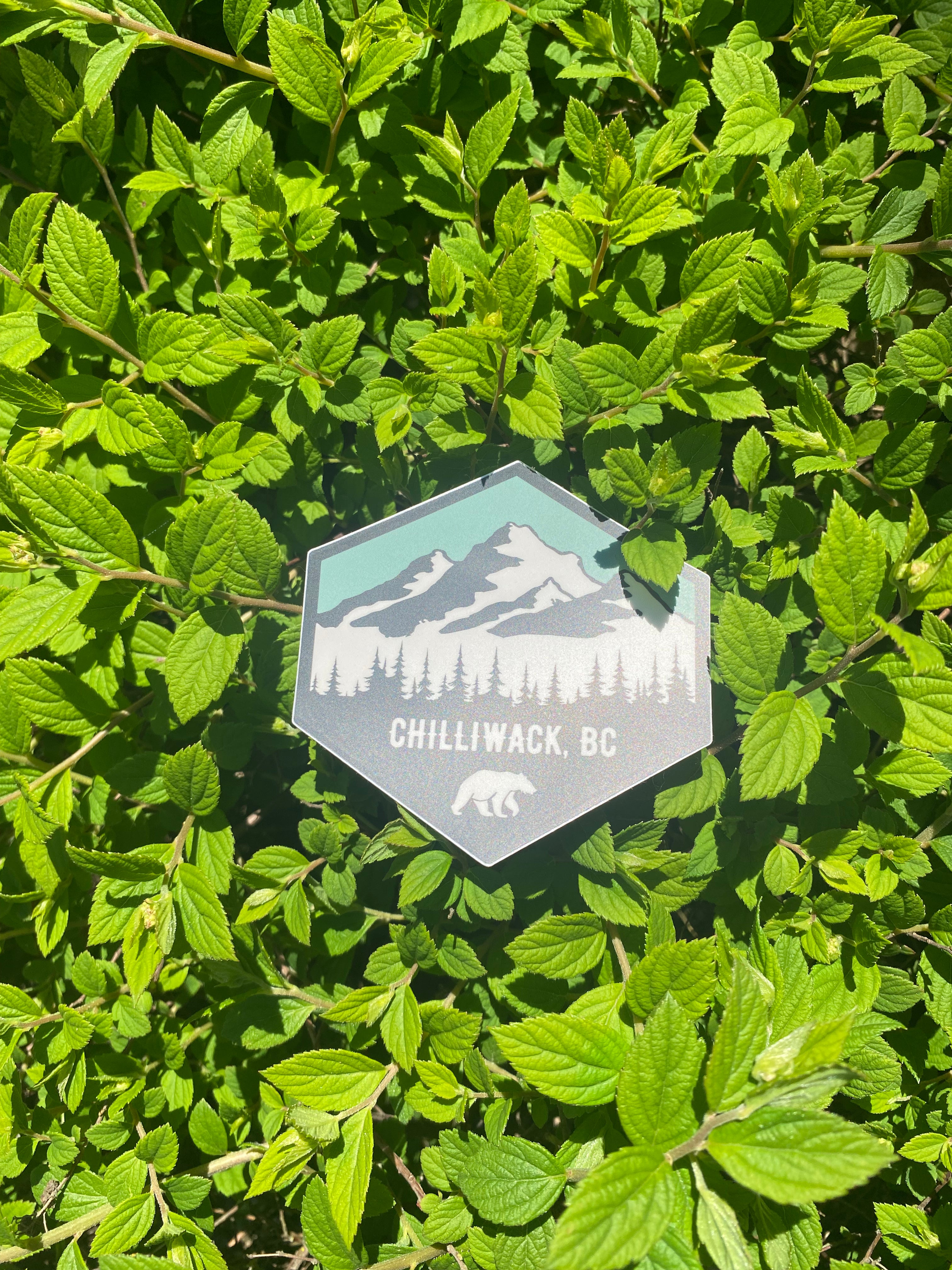 Mountain Bear Sticker