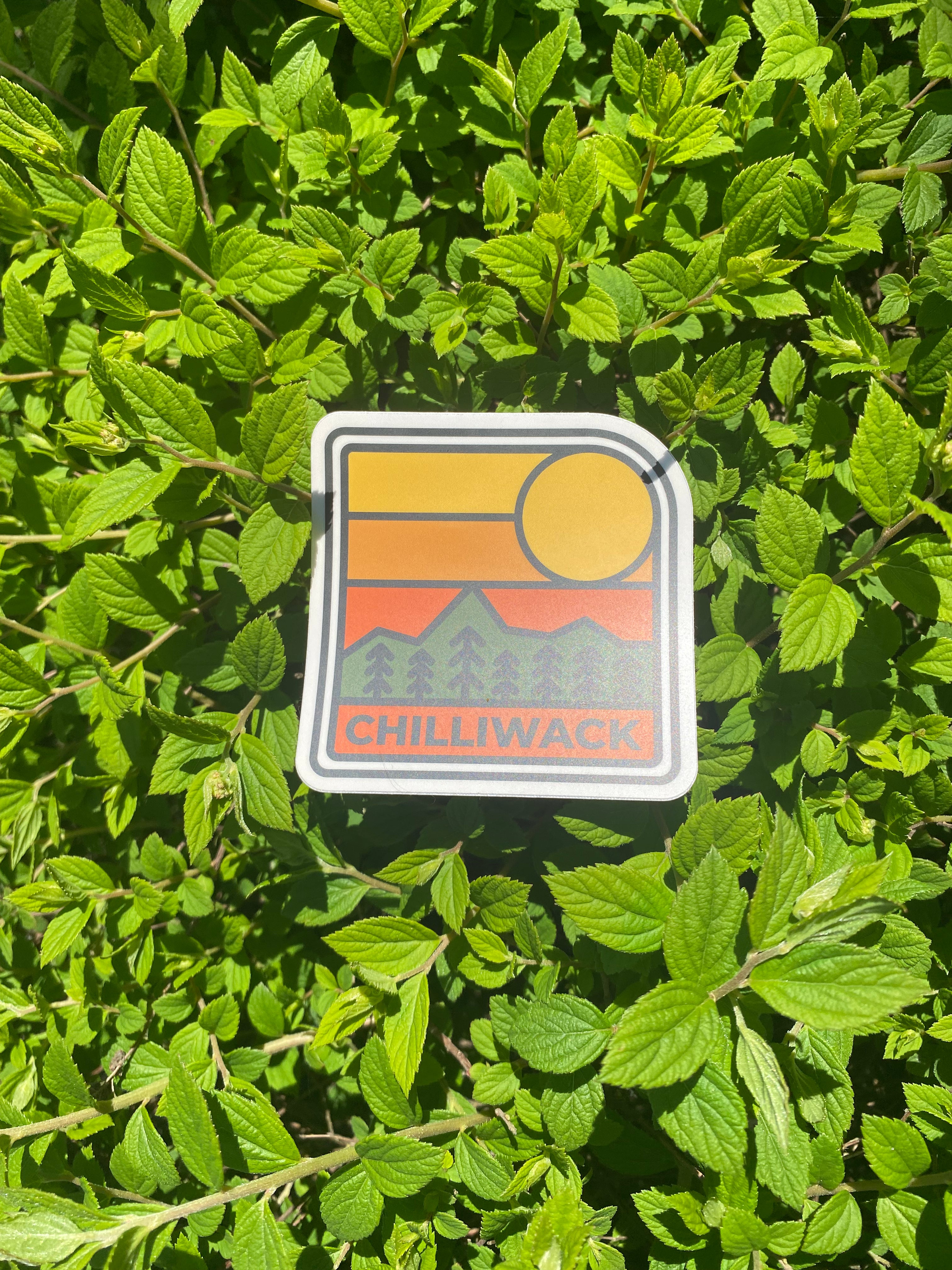 Vintage Chilliwack Sticker