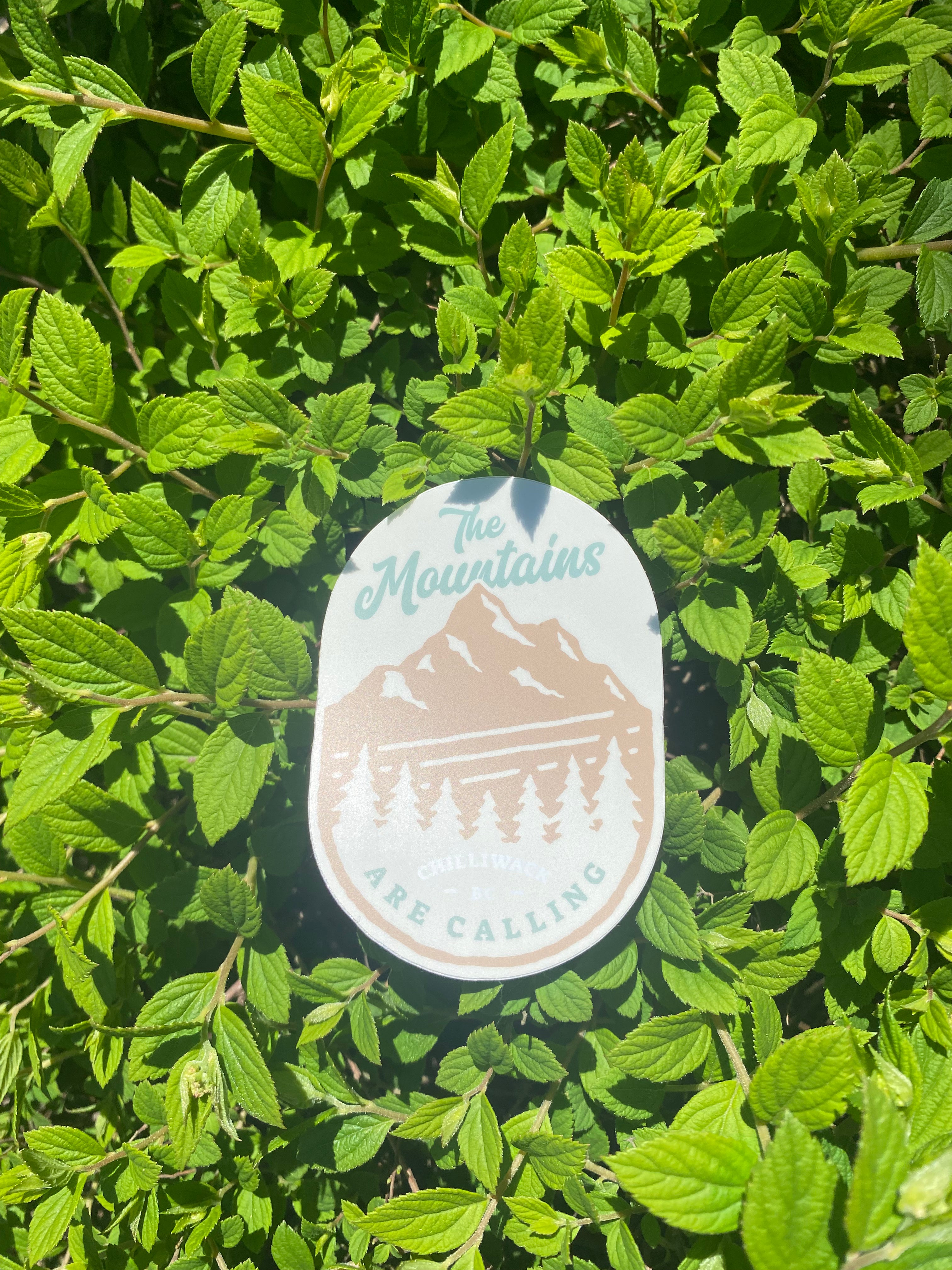 The Mountains are Calling Sticker