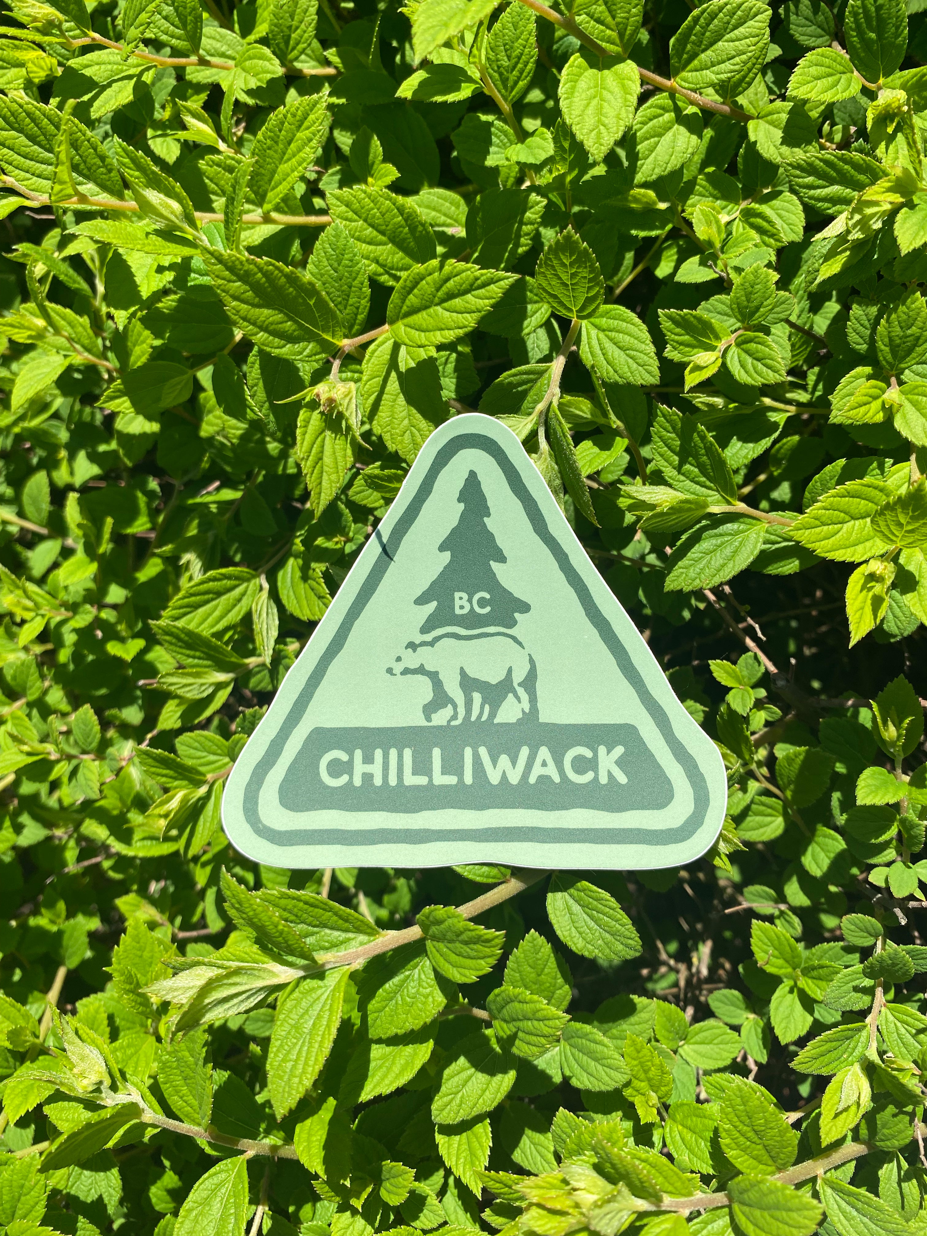 Green Bear & Mountain Sticker