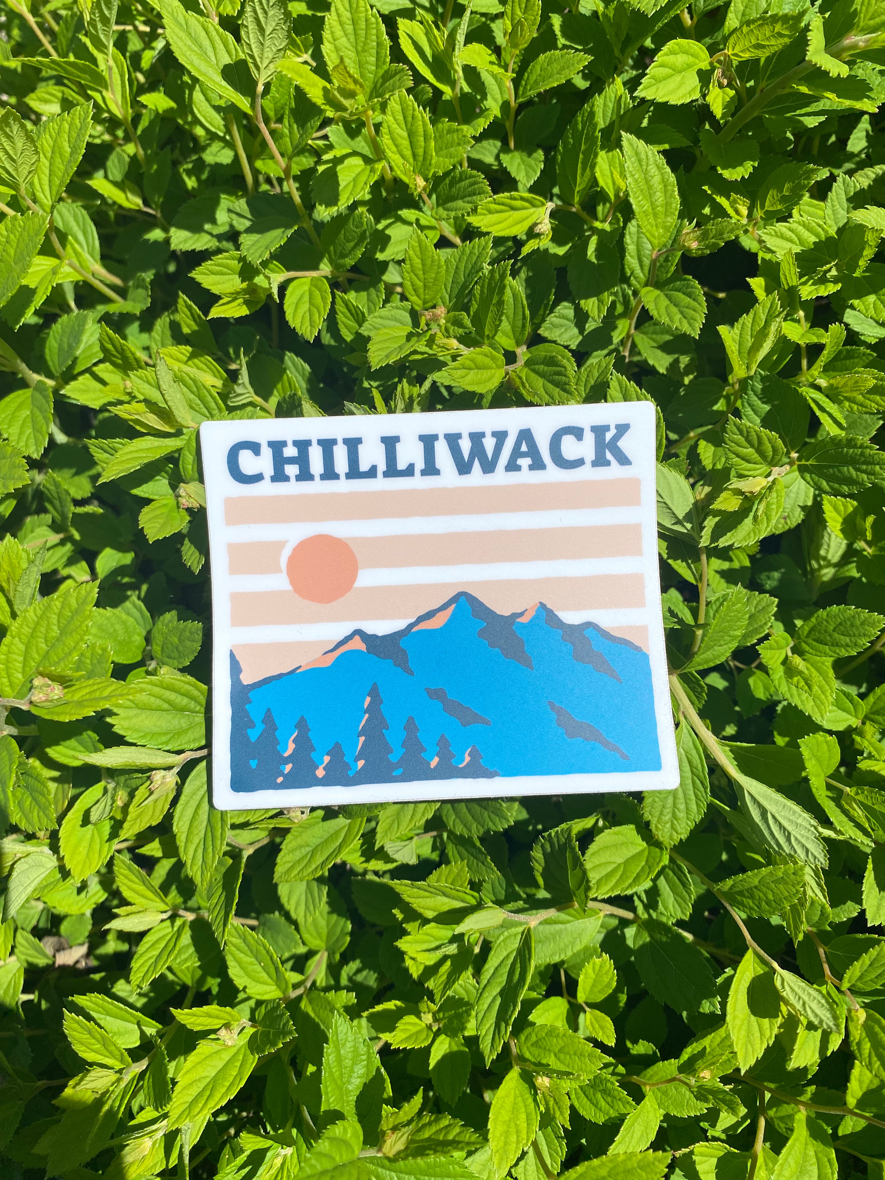 Sunset Striped Chilliwack