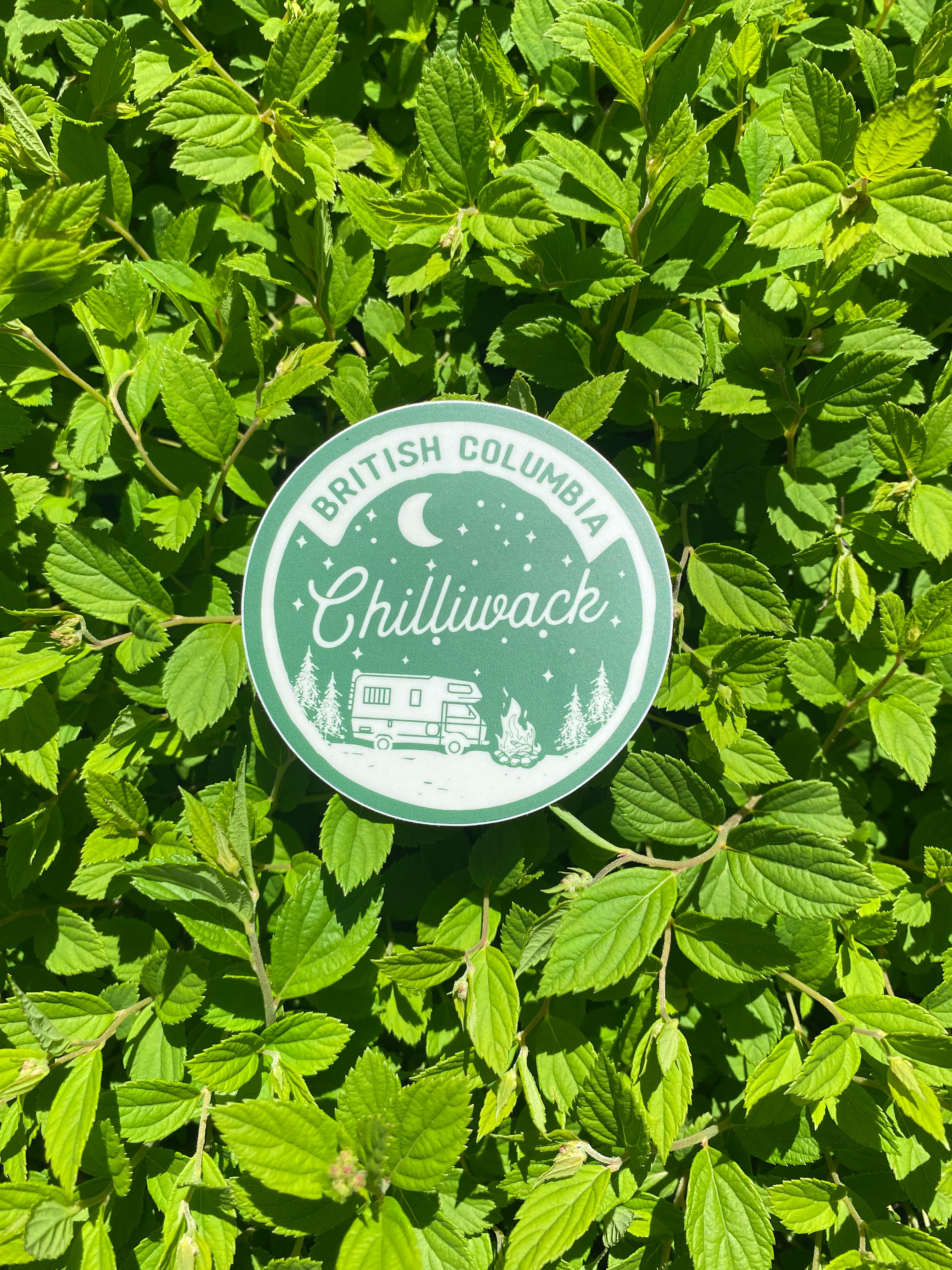 Green Camper Sticker