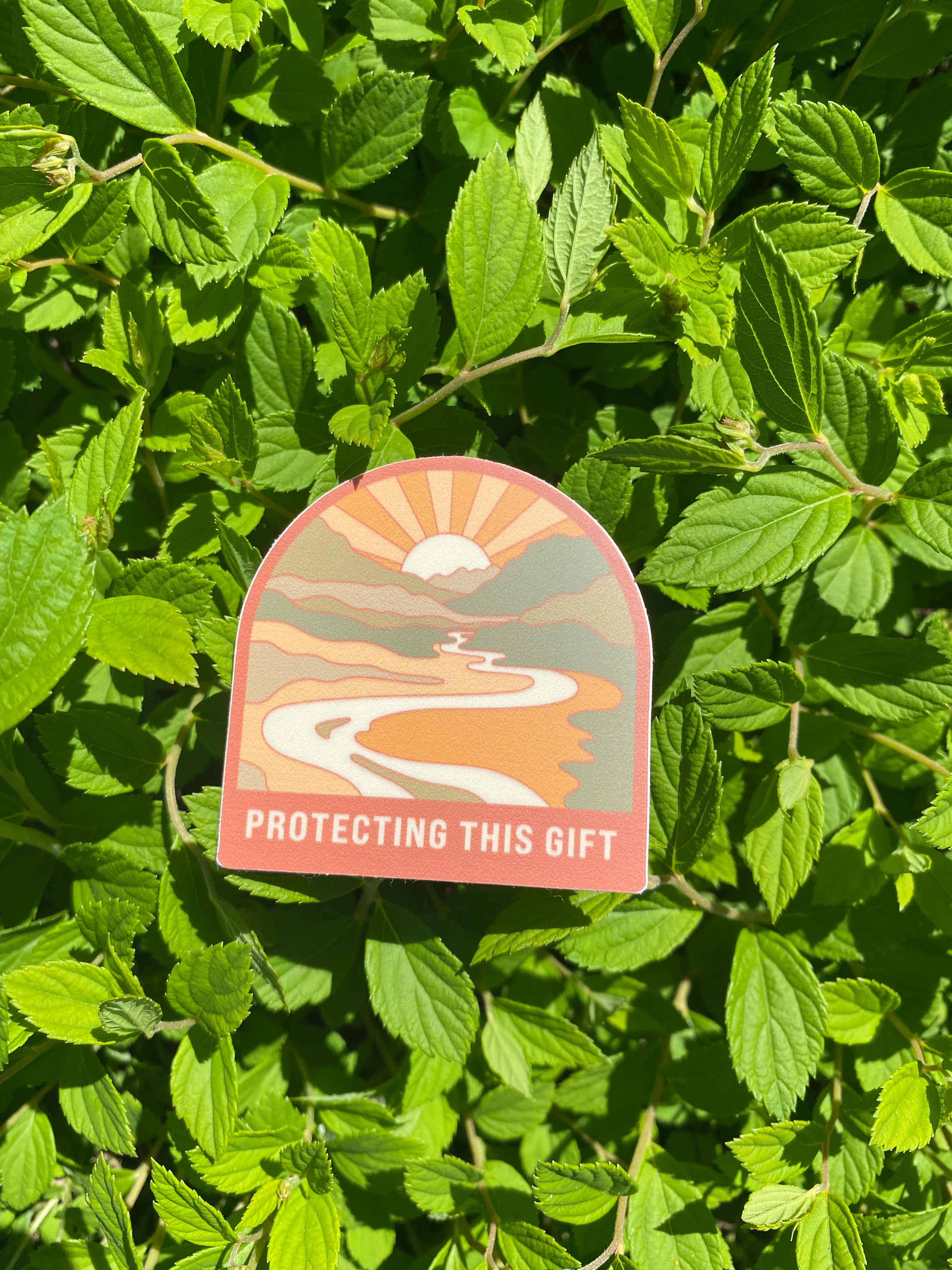 Protecting this Gift Sticker