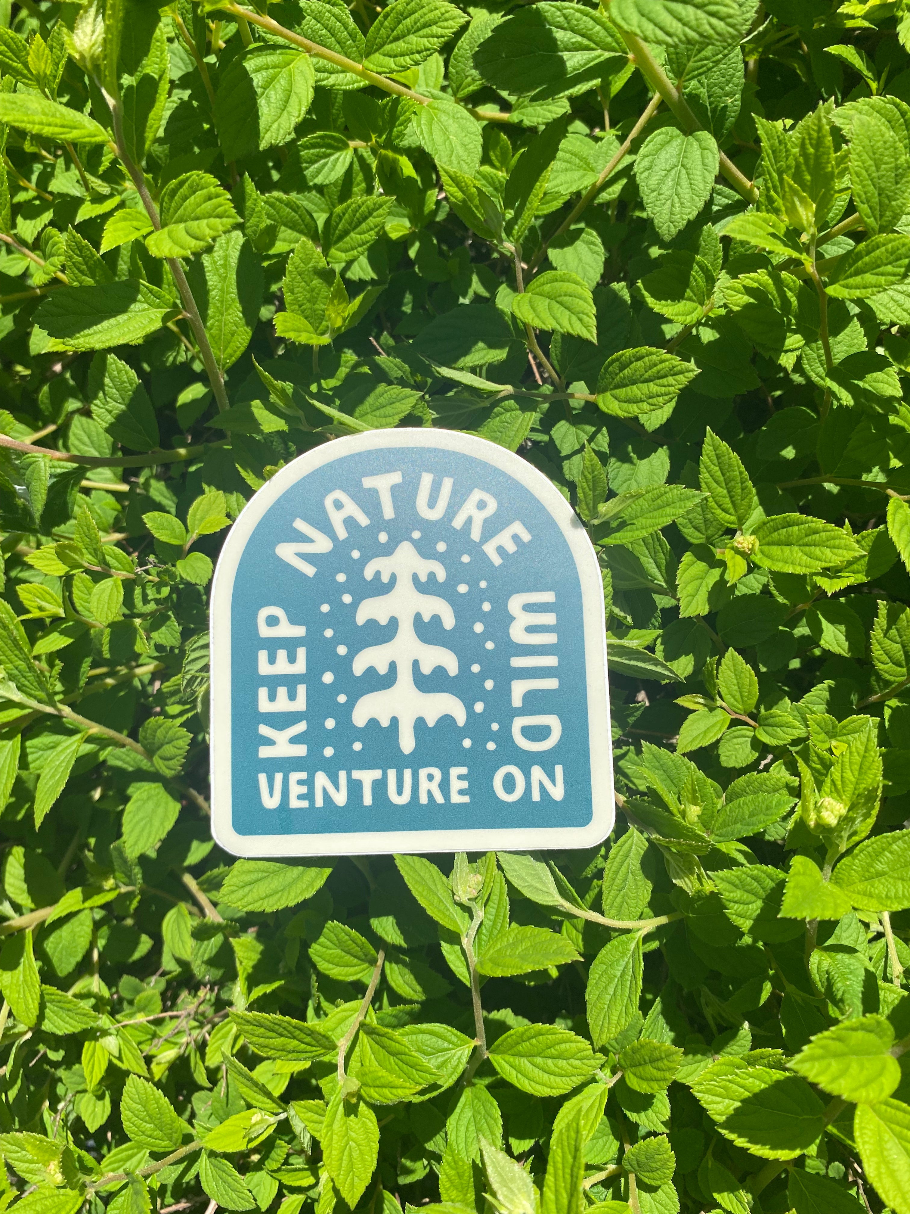 Venture On Peaceful Pine Sticker