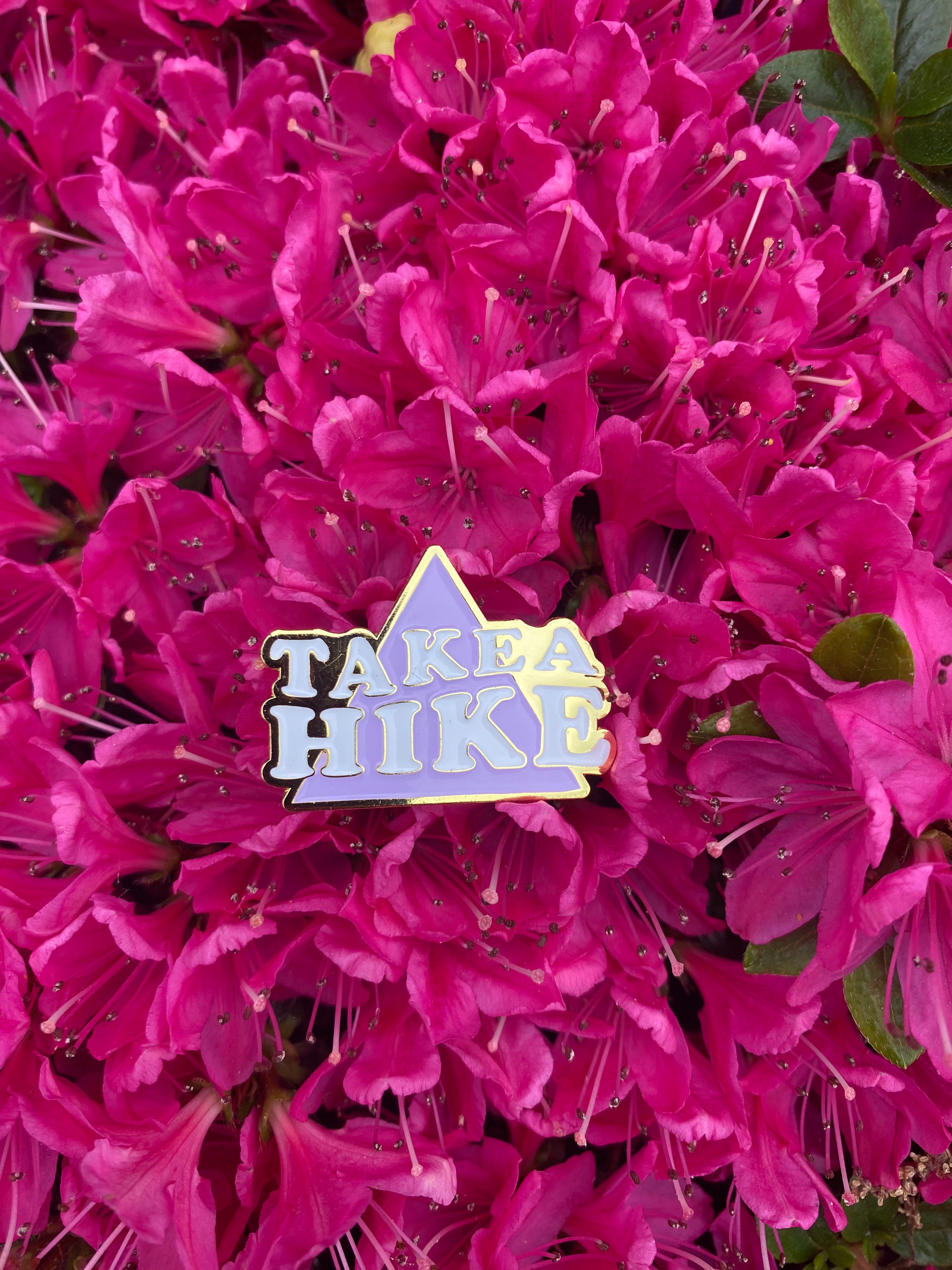 Take a Hike Pin