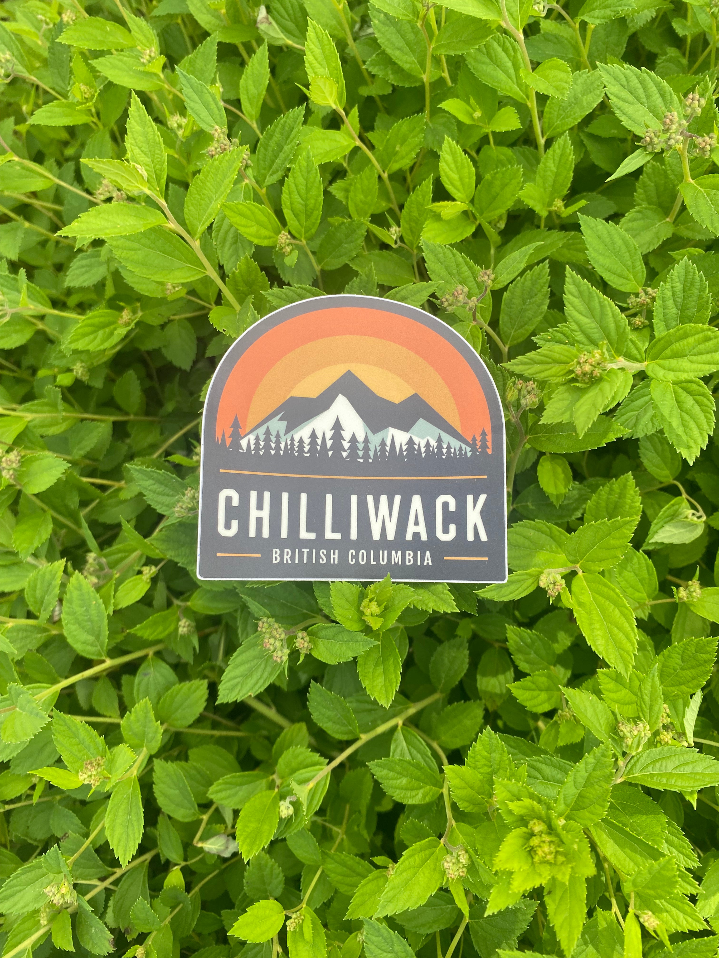 Chilliwack Mountain Sunrise Sticker