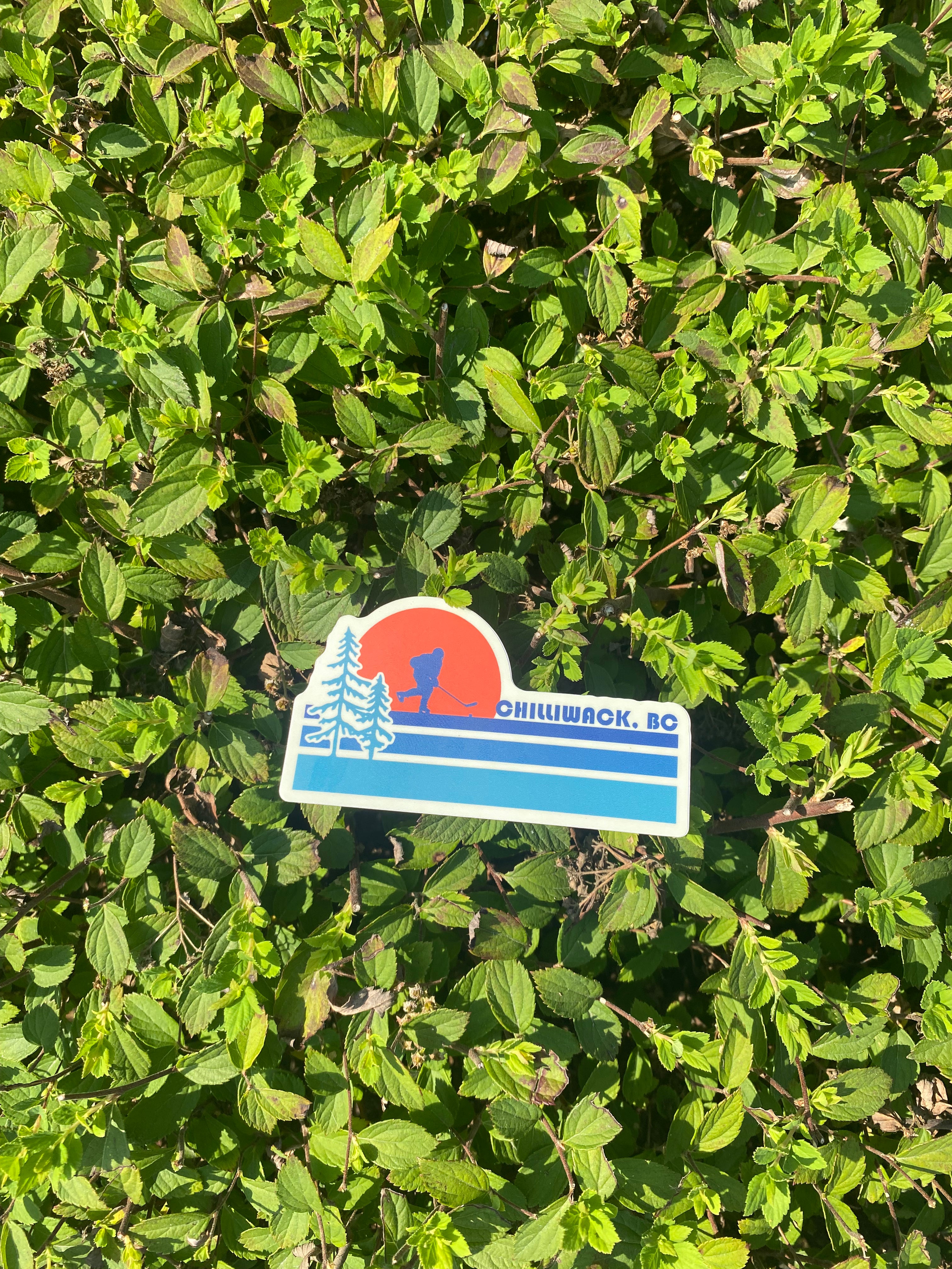 Chilliwack Hockey Sticker