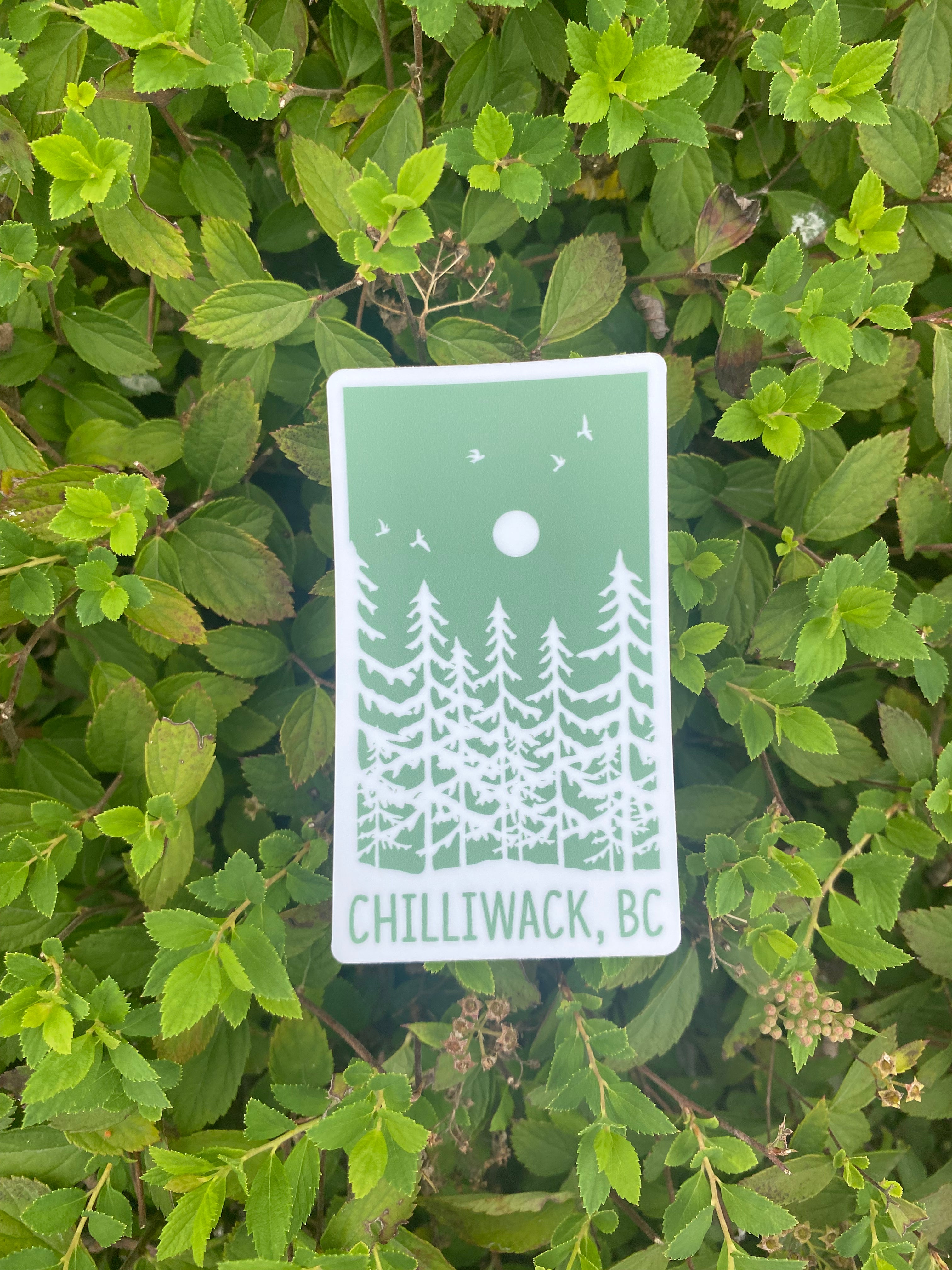 Green Forest Sticker