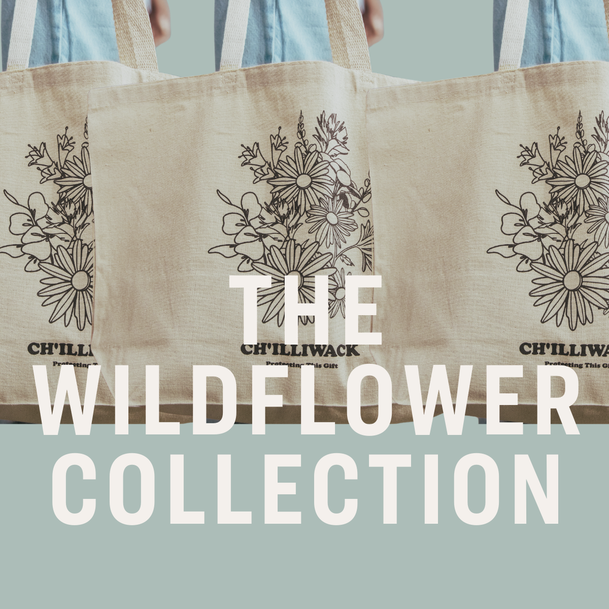 Wildflower Collection