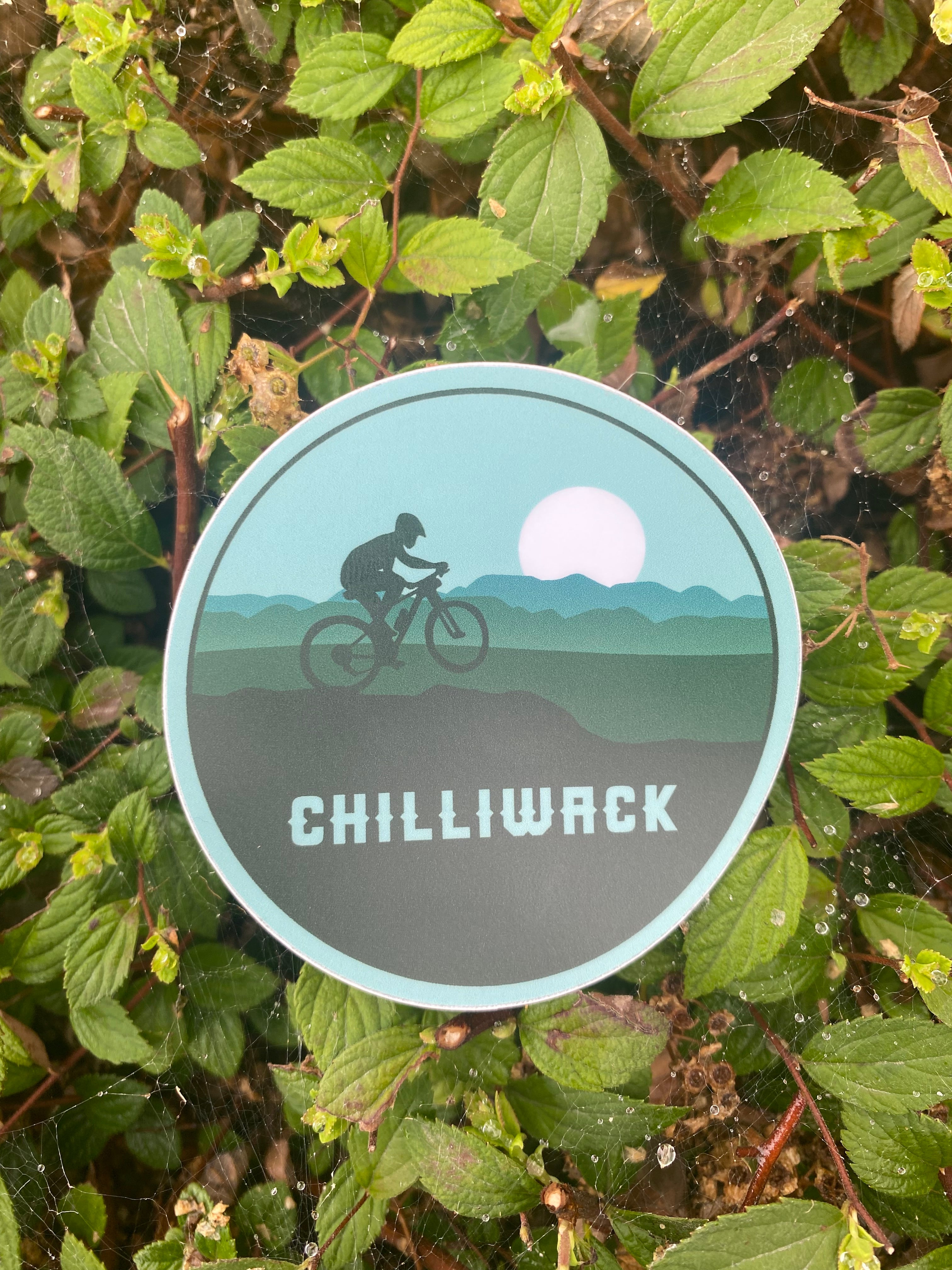 Send It Chilliwack Sticker