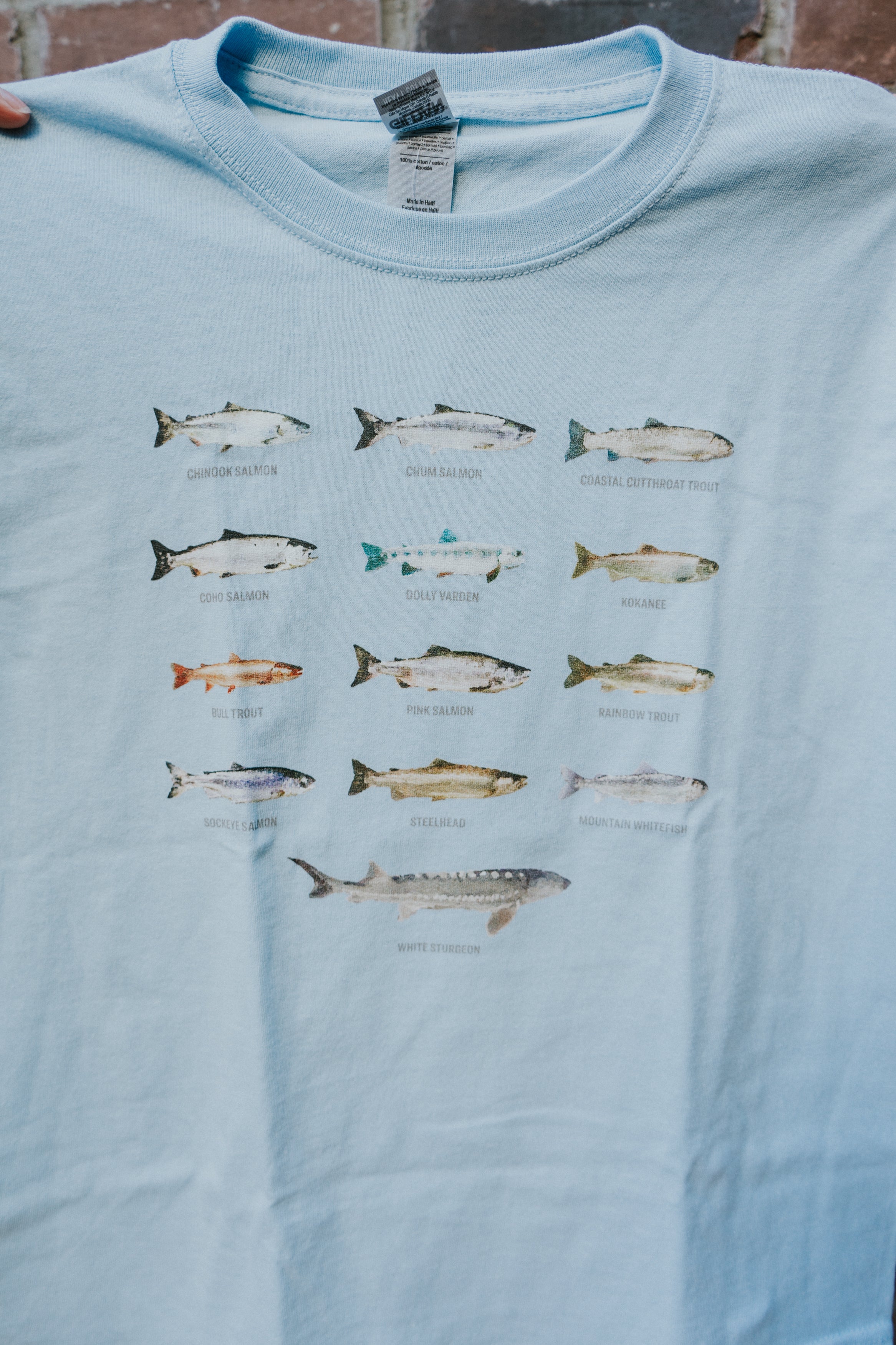 Kids Fish T-Shirt  The Chilliwack Shop