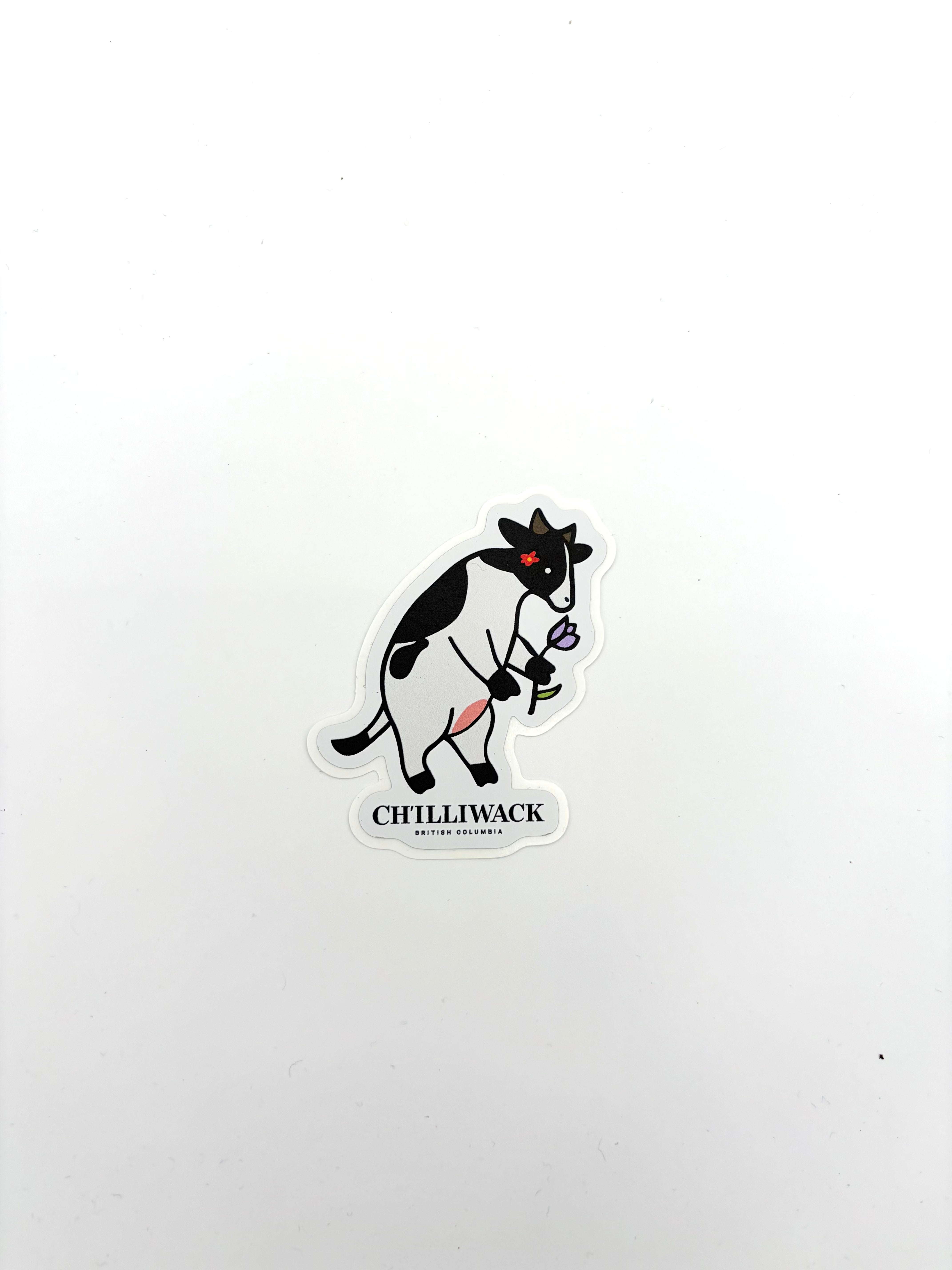 Cow Stickers