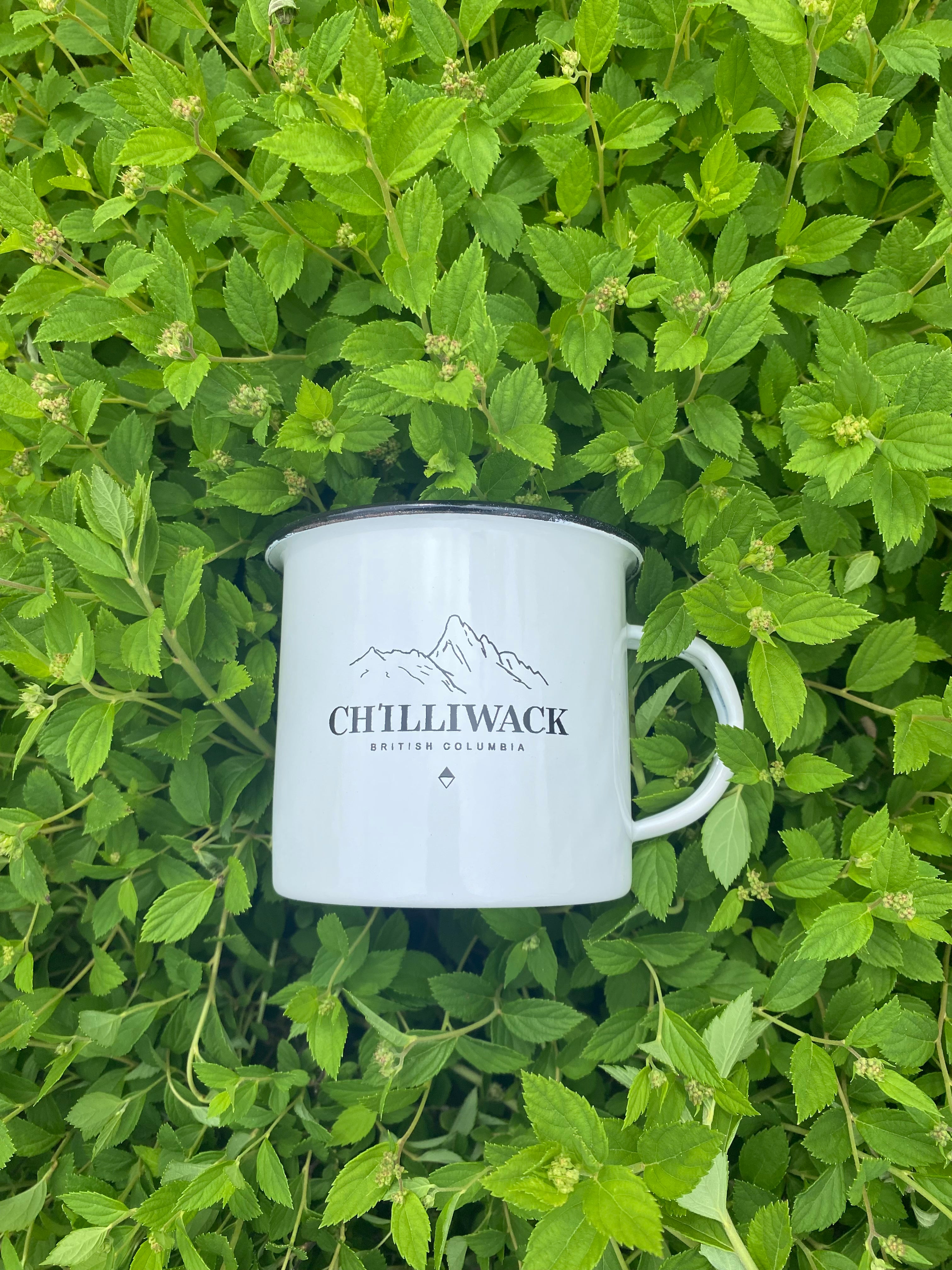 Chilliwack Camper Mug