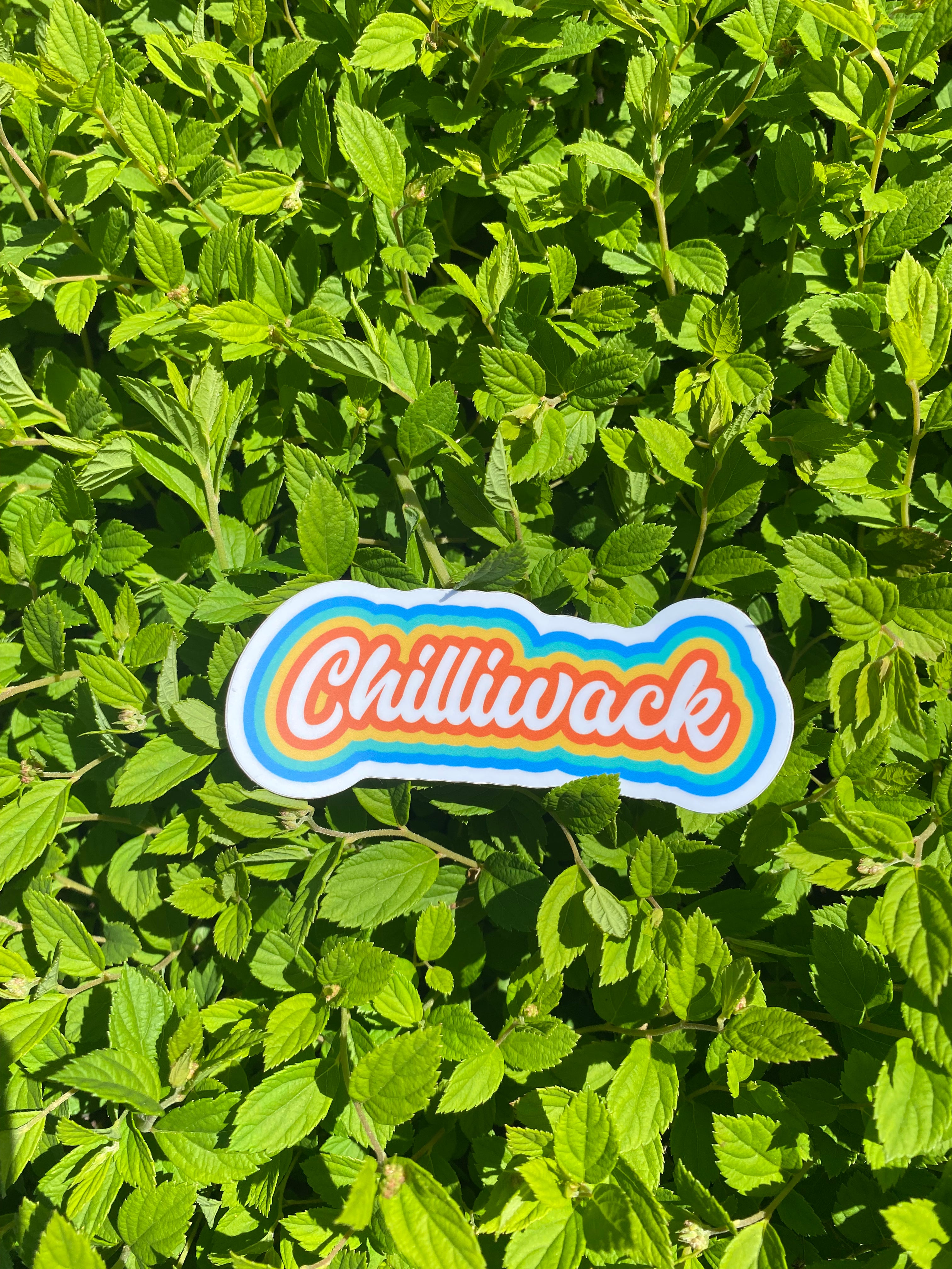 Groovy Chilliwack Sticker