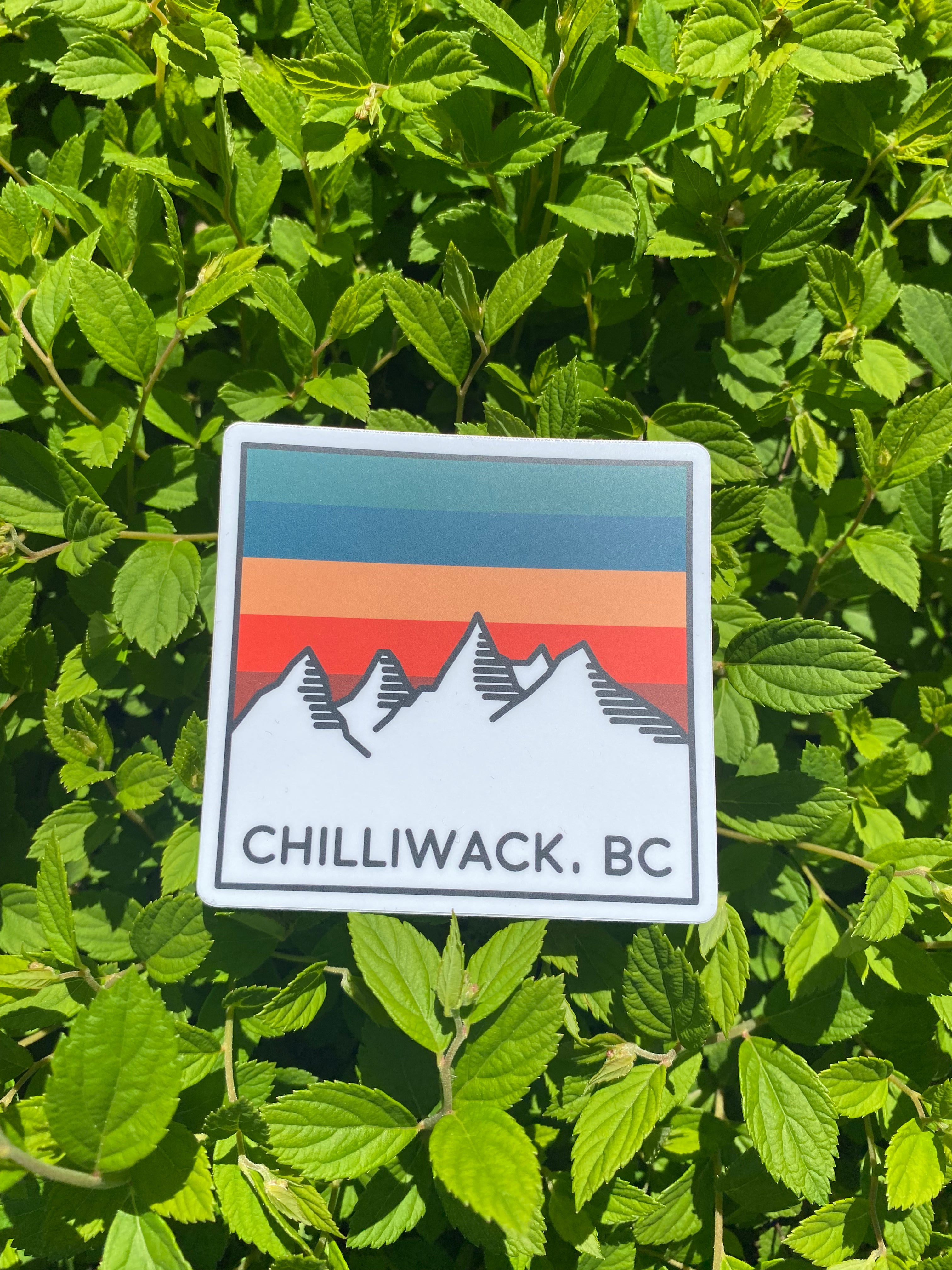 Retro Stripe Mountain Sticker