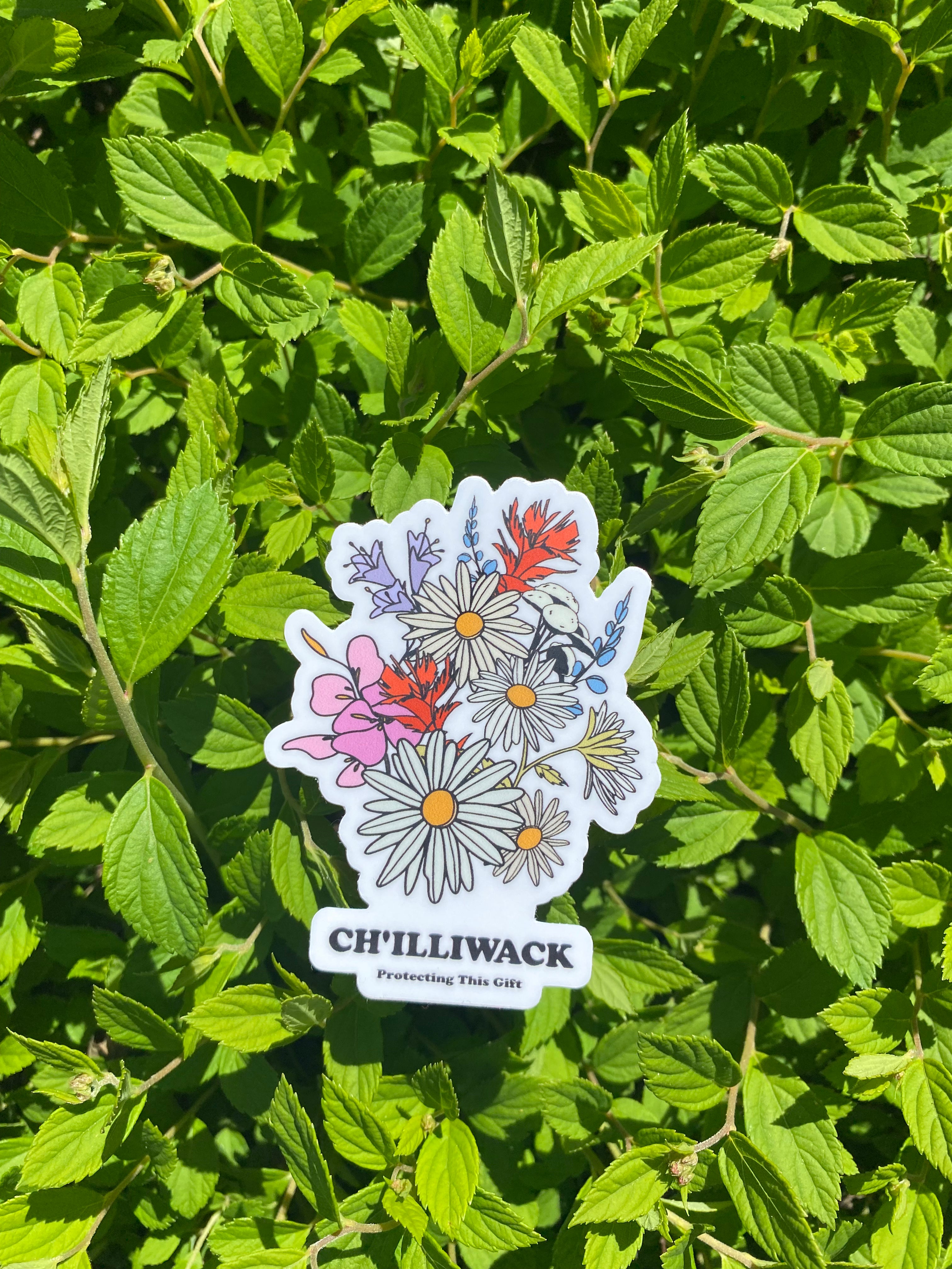 Chilliwack Wildflower Sticker