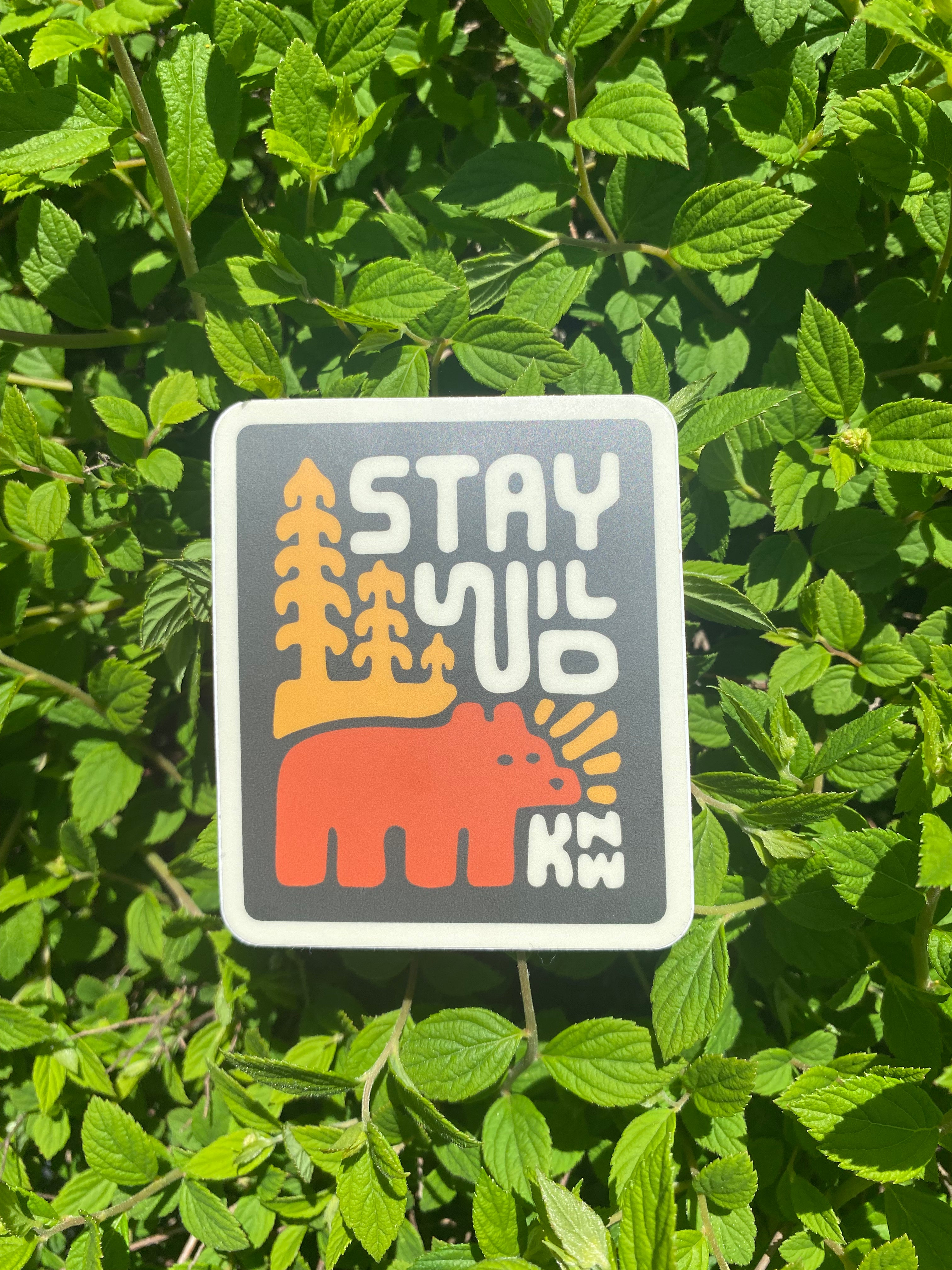 Stay Wild Grizzly Sticker