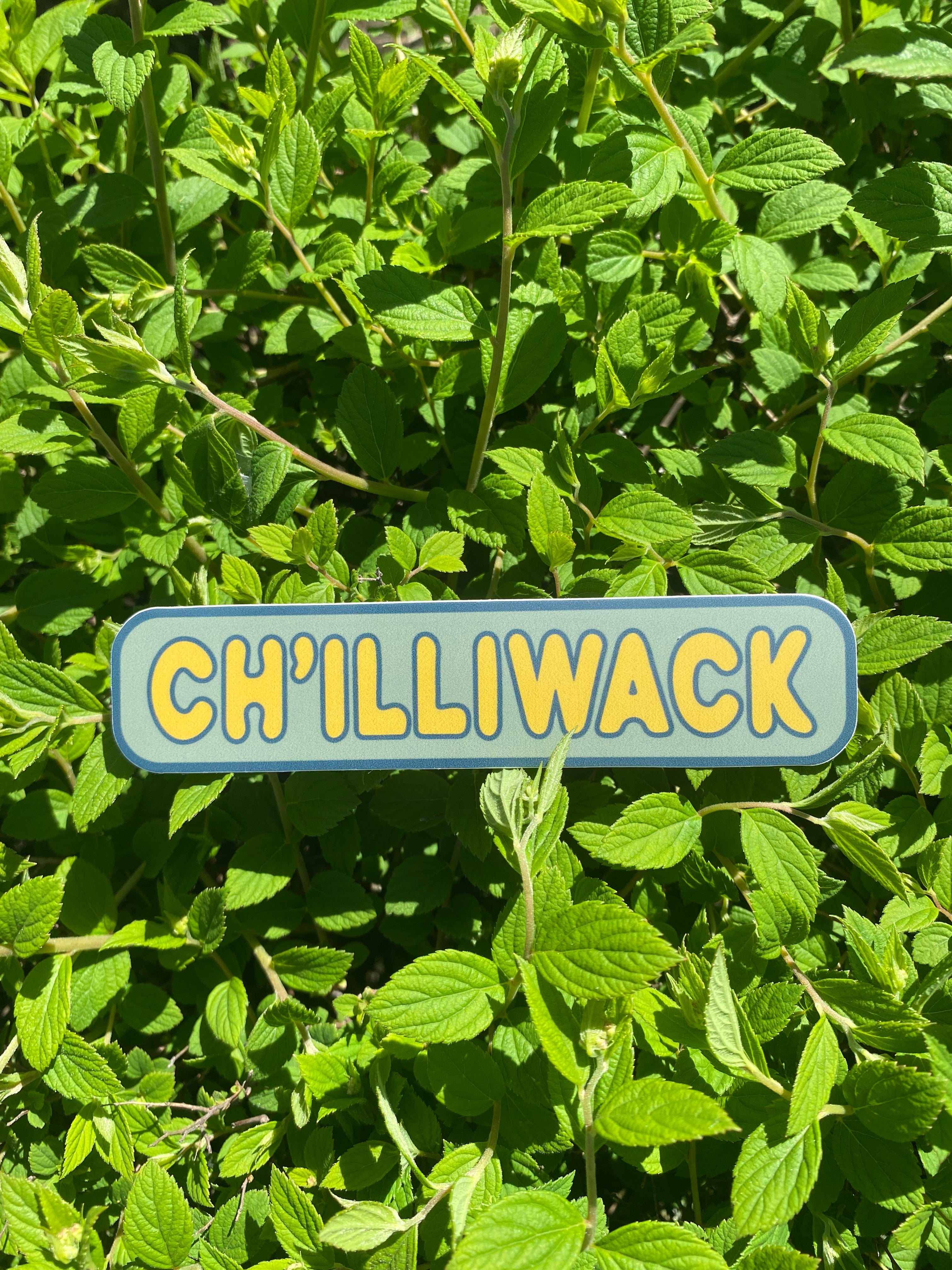 Green Yellow Ch'illiwack Sticker
