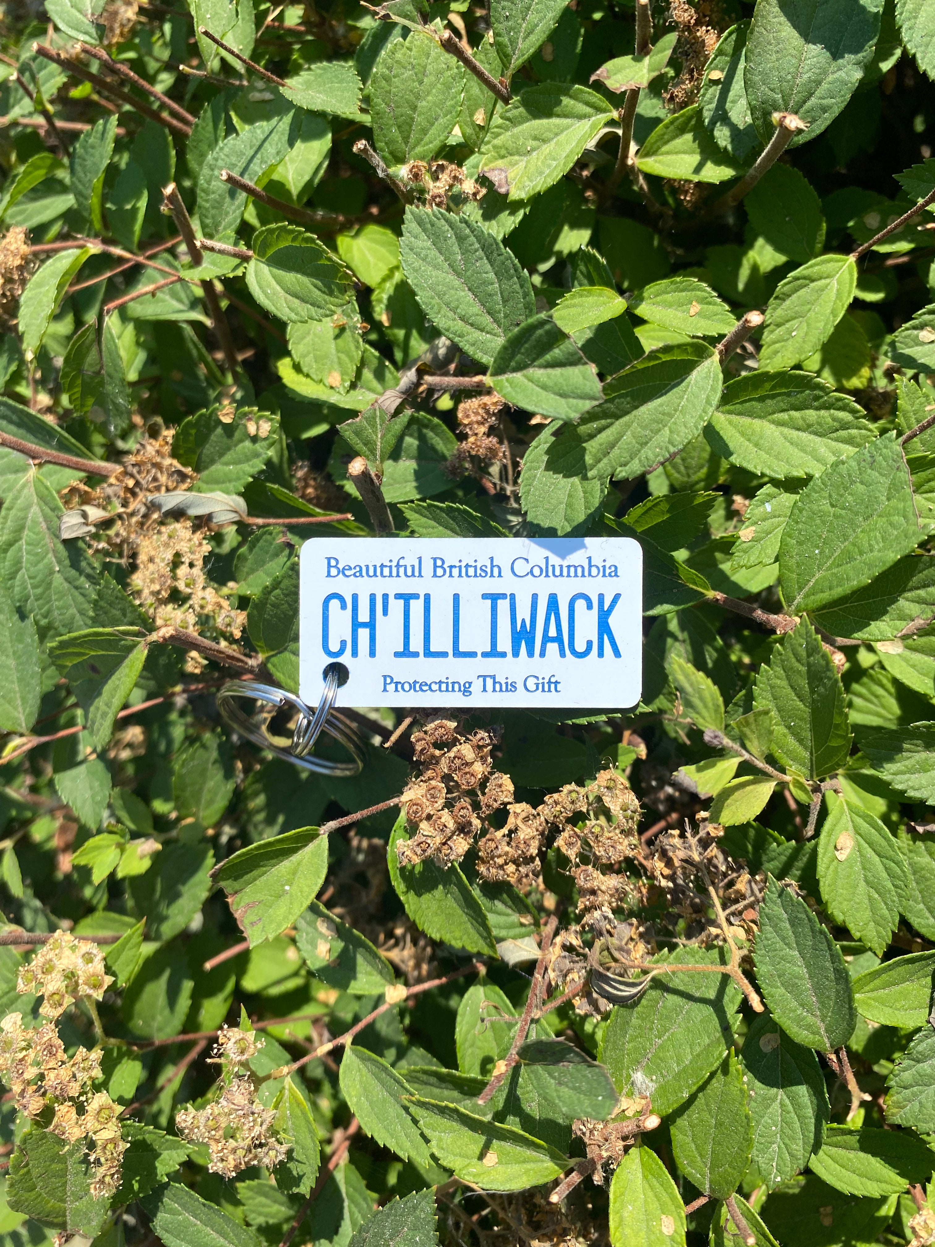 Ch'illiwack License Plate Keychain