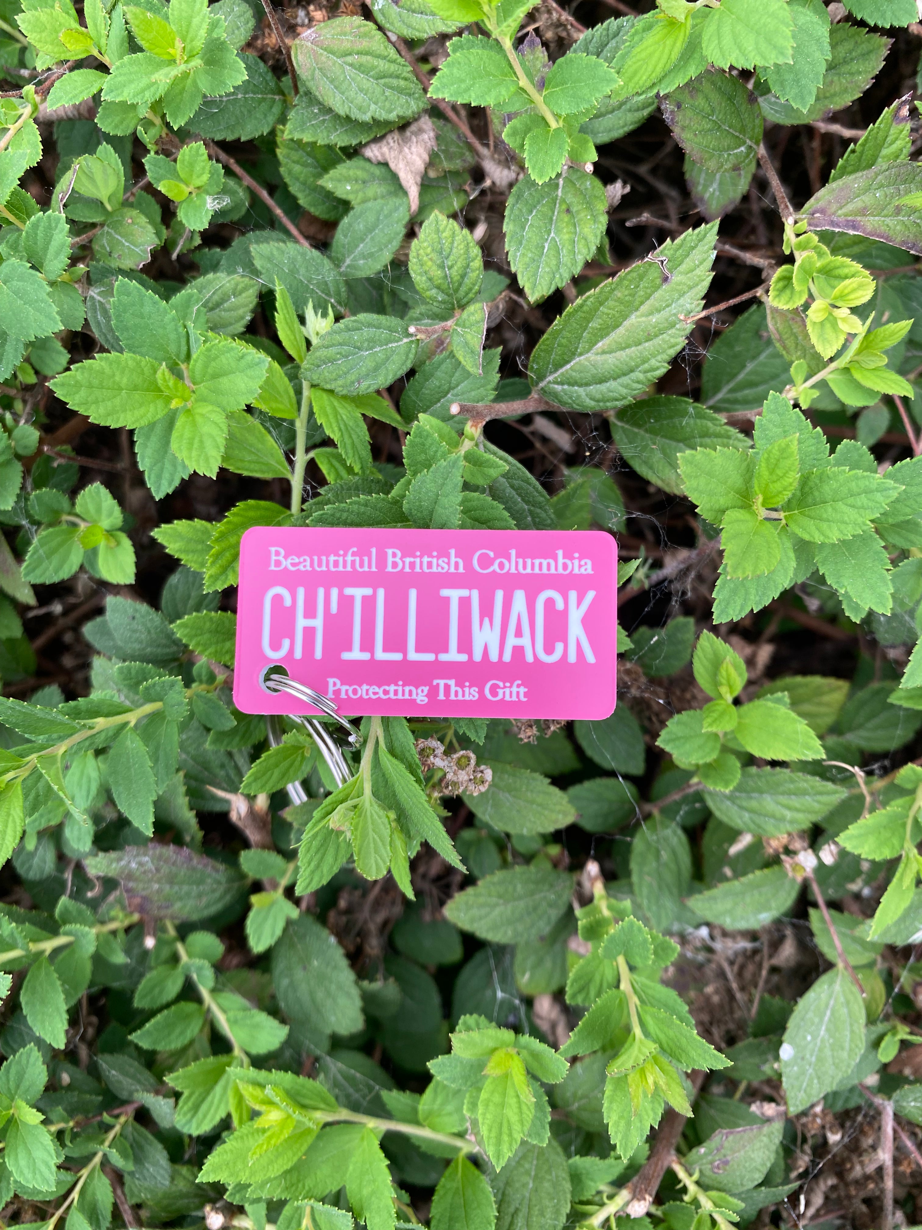 Ch'illiwack License Plate Keychain