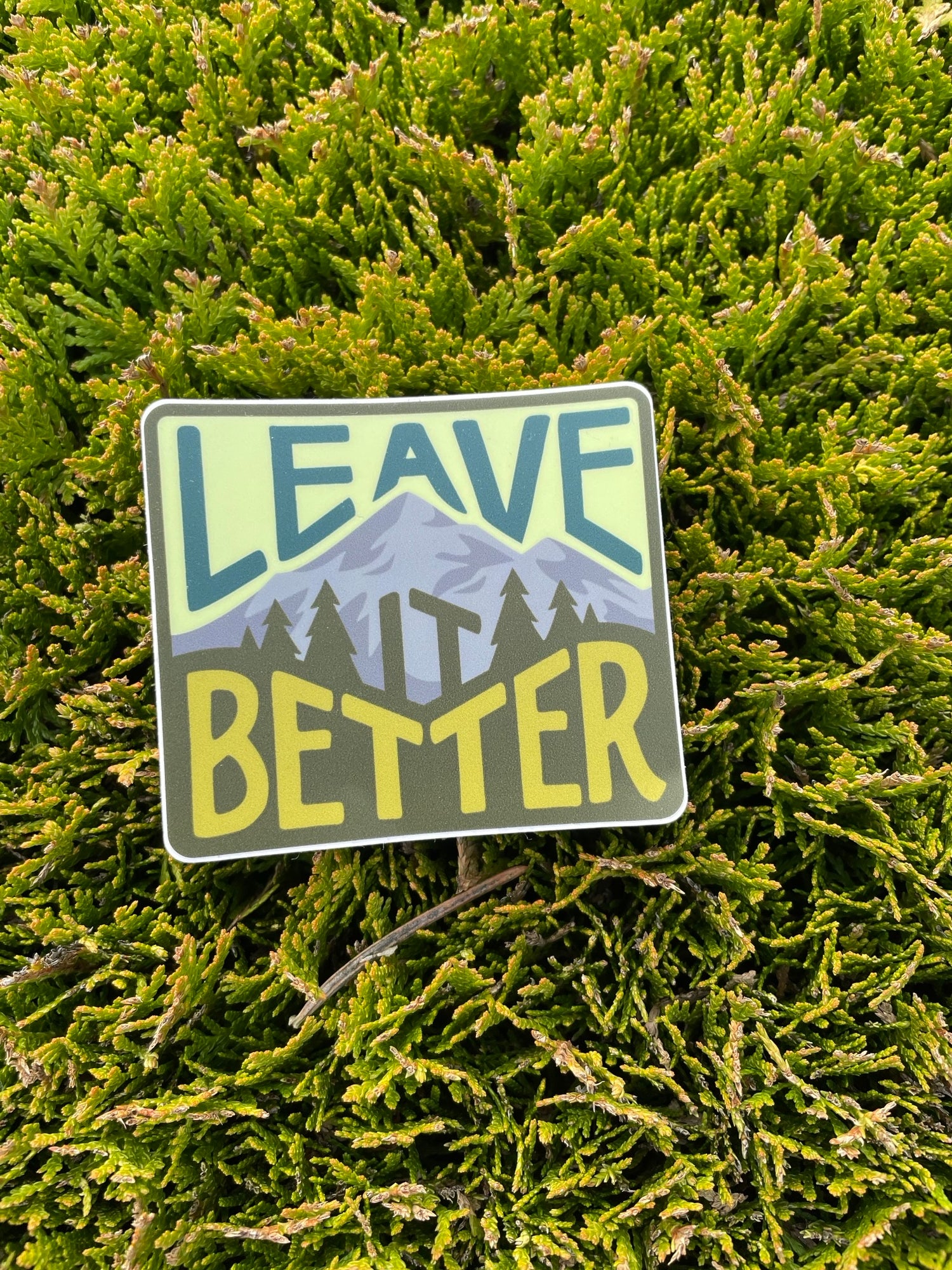 Leave It Better Forest Sticker