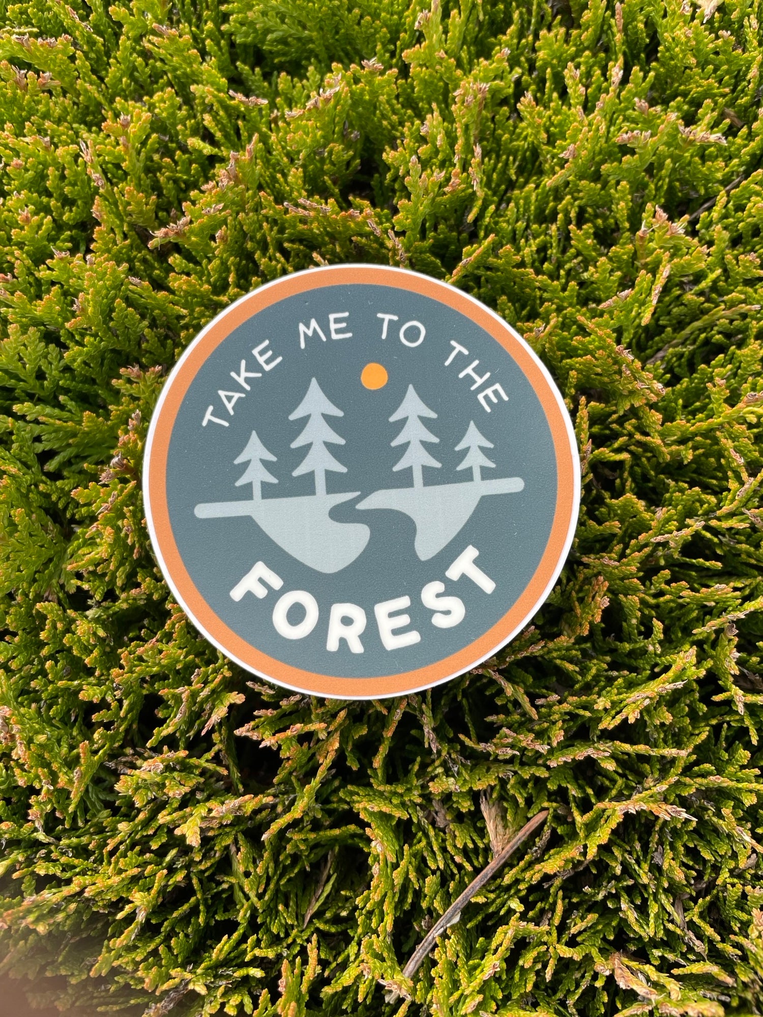 To the Forest Sticker